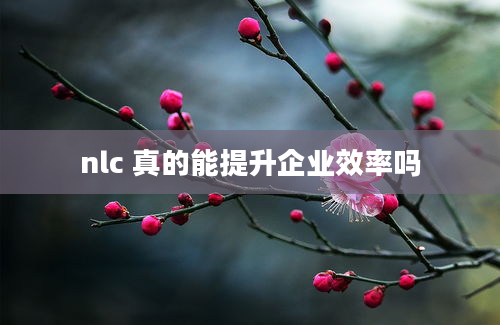 nlc 真的能提升企业效率吗