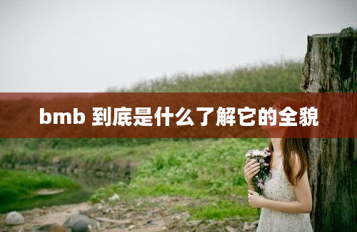 bmb 到底是什么了解它的全貌