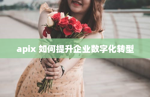 apix 如何提升企业数字化转型