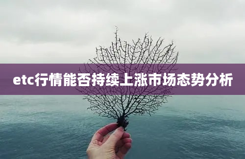 etc行情能否持续上涨市场态势分析