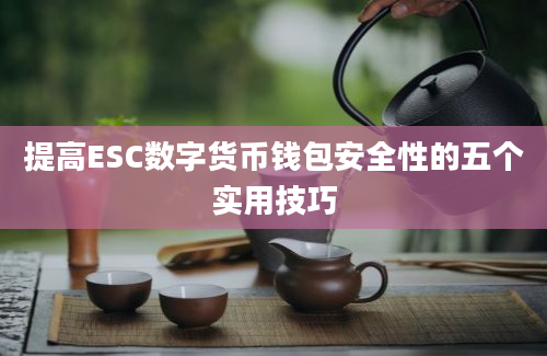 提高ESC数字货币钱包安全性的五个实用技巧