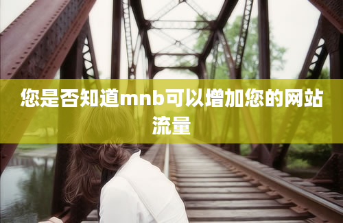 您是否知道mnb可以增加您的网站流量