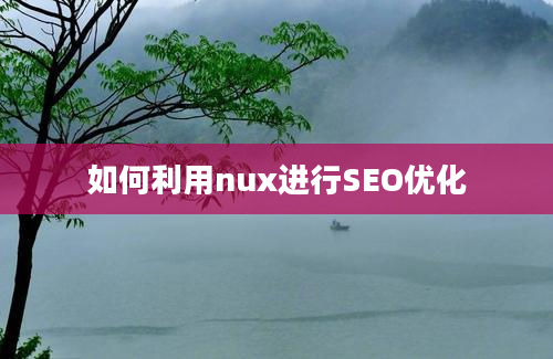 如何利用nux进行SEO优化