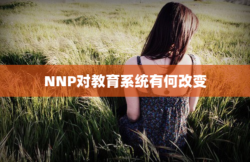 NNP对教育系统有何改变