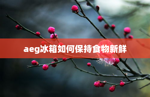 aeg冰箱如何保持食物新鲜