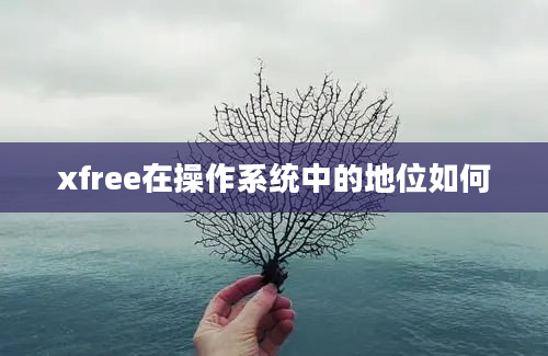 xfree在操作系统中的地位如何