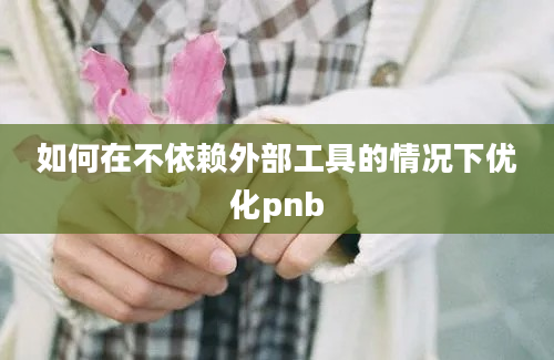 如何在不依赖外部工具的情况下优化pnb