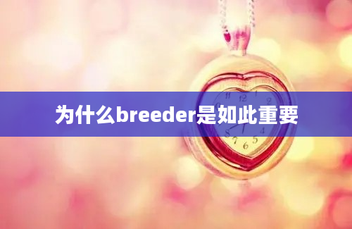 为什么breeder是如此重要