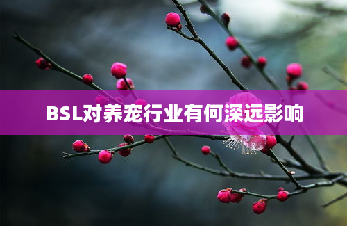 BSL对养宠行业有何深远影响