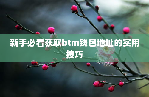 新手必看获取btm钱包地址的实用技巧