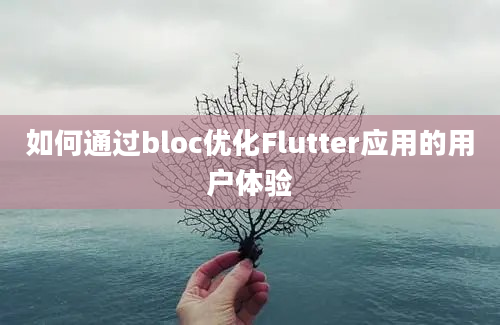 如何通过bloc优化Flutter应用的用户体验