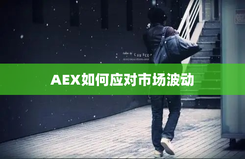 AEX如何应对市场波动