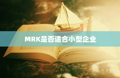 MRK是否适合小型企业