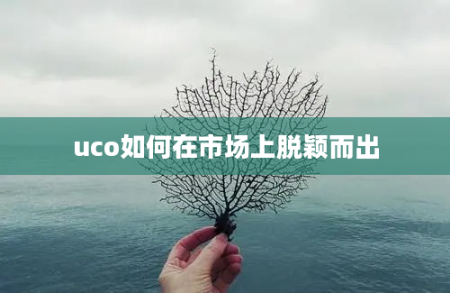 uco如何在市场上脱颖而出