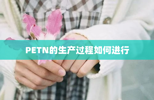 PETN的生产过程如何进行