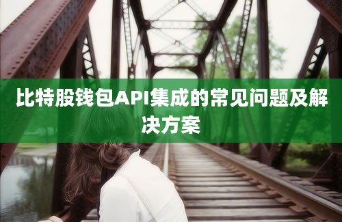 比特股钱包API集成的常见问题及解决方案