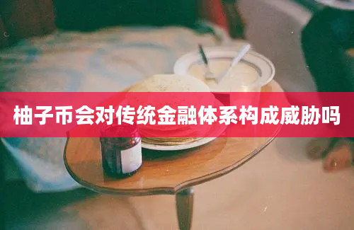 柚子币会对传统金融体系构成威胁吗