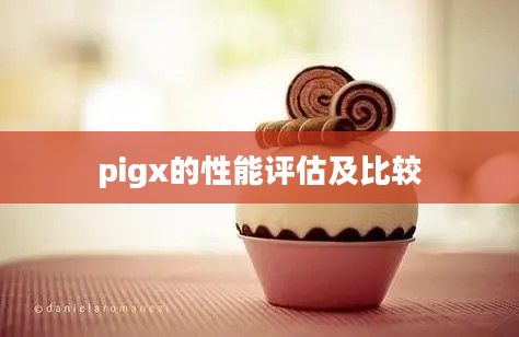 pigx的性能评估及比较