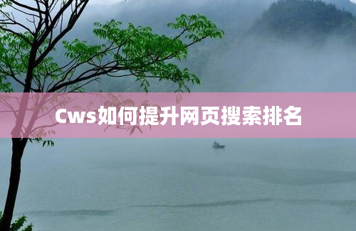 Cws如何提升网页搜索排名