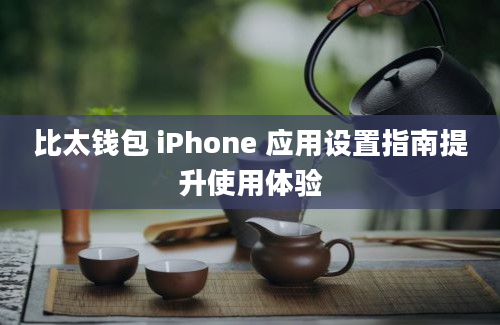 比太钱包 iPhone 应用设置指南提升使用体验