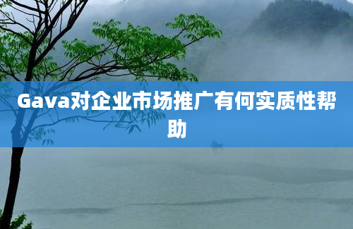 Gava对企业市场推广有何实质性帮助