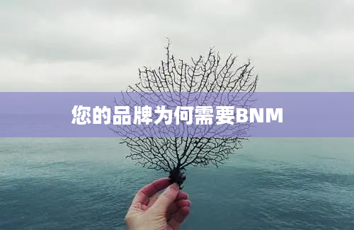 您的品牌为何需要BNM