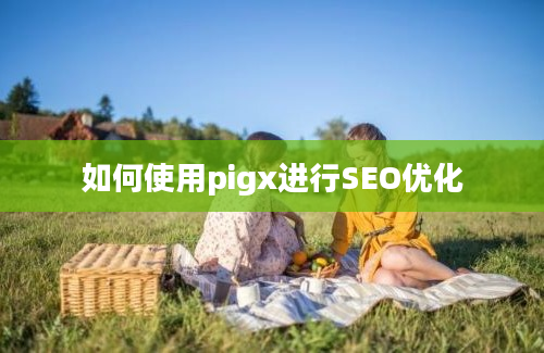 如何使用pigx进行SEO优化