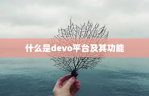 什么是devo平台及其功能