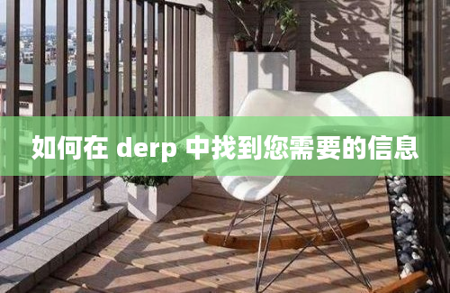 如何在 derp 中找到您需要的信息