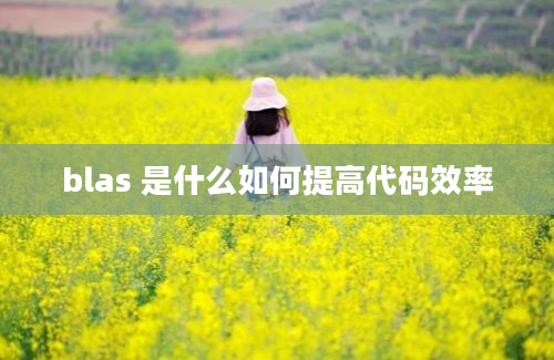 blas 是什么如何提高代码效率