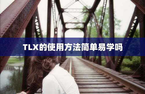 TLX的使用方法简单易学吗