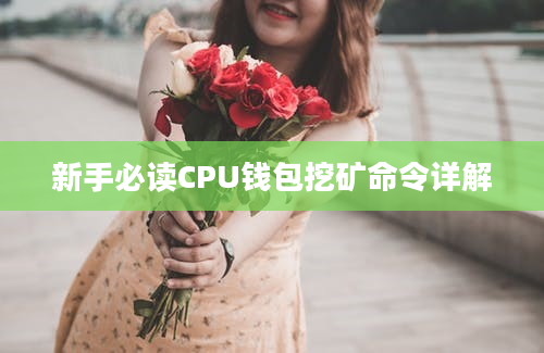 新手必读CPU钱包挖矿命令详解