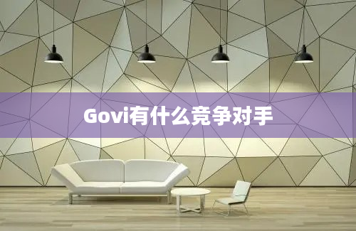 Govi有什么竞争对手