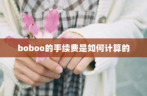 boboo的手续费是如何计算的