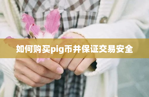 如何购买pig币并保证交易安全