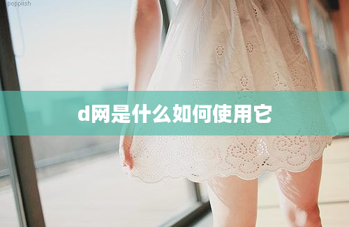 d网是什么如何使用它