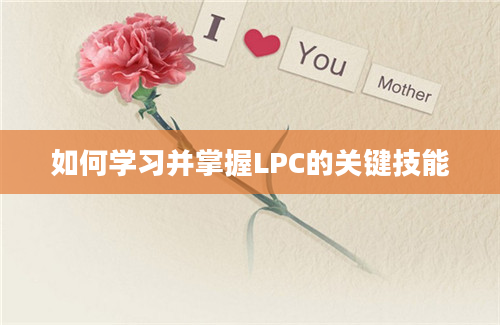 如何学习并掌握LPC的关键技能