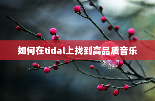 如何在tidal上找到高品质音乐