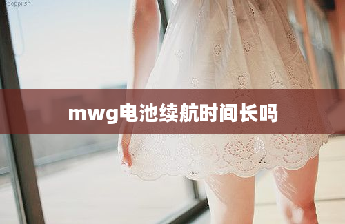 mwg电池续航时间长吗