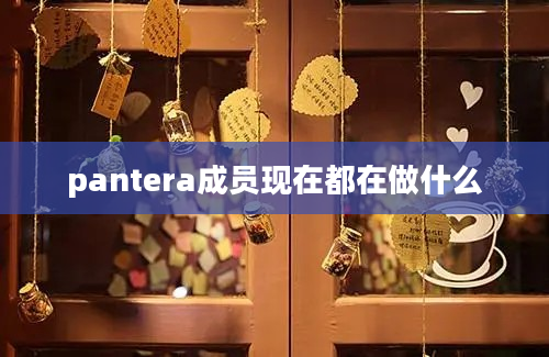 pantera成员现在都在做什么