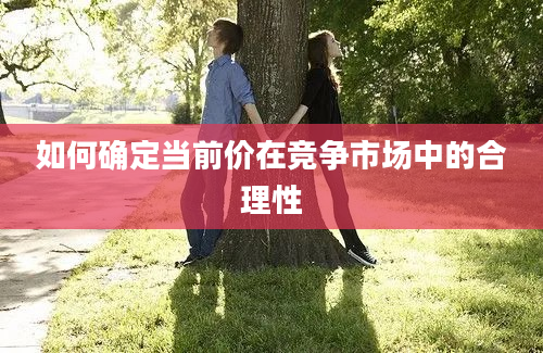 如何确定当前价在竞争市场中的合理性