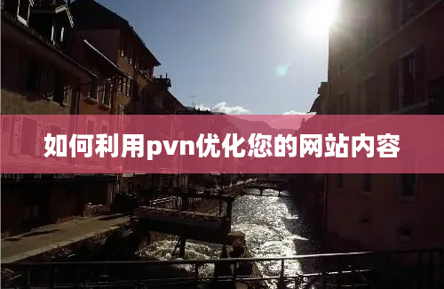 如何利用pvn优化您的网站内容