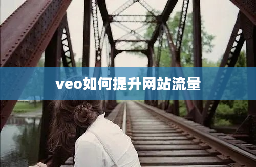 veo如何提升网站流量