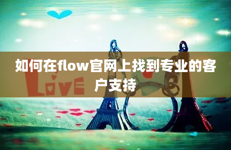 如何在flow官网上找到专业的客户支持