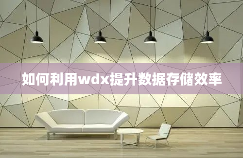 如何利用wdx提升数据存储效率