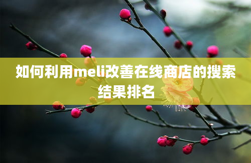 如何利用meli改善在线商店的搜索结果排名