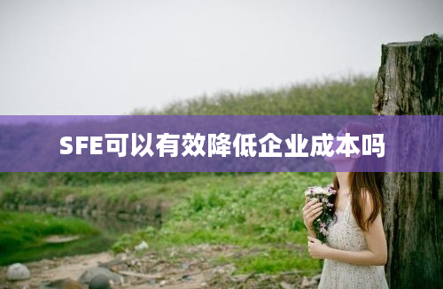 SFE可以有效降低企业成本吗