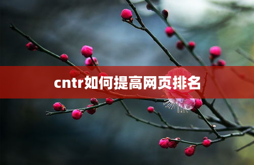 cntr如何提高网页排名