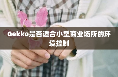 Gekko是否适合小型商业场所的环境控制