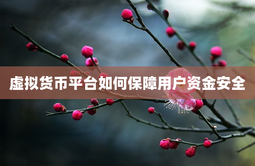 虚拟货币平台如何保障用户资金安全